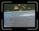 Tortola 238 * they made so much noise * 2048 x 1536 * (1.49MB)
